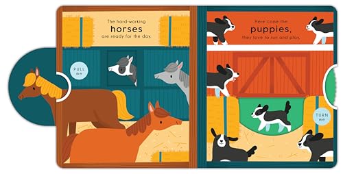 Friendly Animal Farm (Happy Fox Books) Interactive Board Book for Kids Ages 3-6 - Meet Farm Animals like Horses, Sheep, Chickens, Llamas, and More, with Sliders to Make Them Move