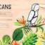 Color with Stickers: Jungle: Create 10 Pictures with Sticker