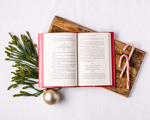 Because of Bethlehem: Love Is Born, Hope Is Here by Lucado