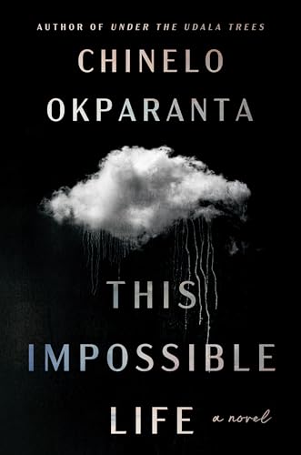 This Impossible Life: A Literary Saga of Two Siblings Bound by Love Across Continents and Decades