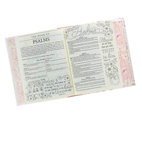 KJV Holy Bible, My Promise Bible, Hardcover with Bible Tabs