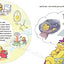 The Berenstain Bears' Big School Project