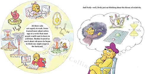 The Berenstain Bears' Big School Project