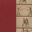 The Martial Arts of Renaissance Europe