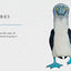 Tits, Boobies and Loons: ARE ORNITHOLOGISTS OK? 2022's funny new bird identification book, the humorous guide to spotting ornithology's most weird and wonderful birds