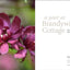 A Year at Brandywine Cottage: Six Seasons of Beauty, Bounty, and Blooms