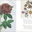 Flora: An Illustrated History of the Garden Flower - Compact
