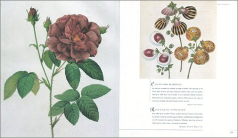 Flora: An Illustrated History of the Garden Flower - Compact