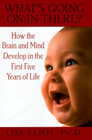 What's Going on in There?: How the Brain and Mind Develop in