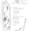 The Zoology Coloring Book
