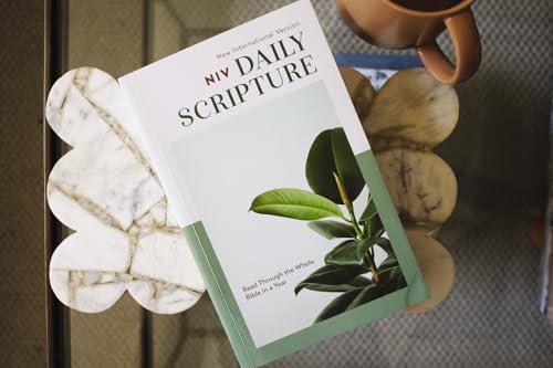 NIV, Daily Scripture, Paperback, White/Sage, Comfort Print: 365 Days to Read Through the Whole Bible in a Year