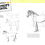 Art Studio: Horses & Ponies: More than 50 projects and techn