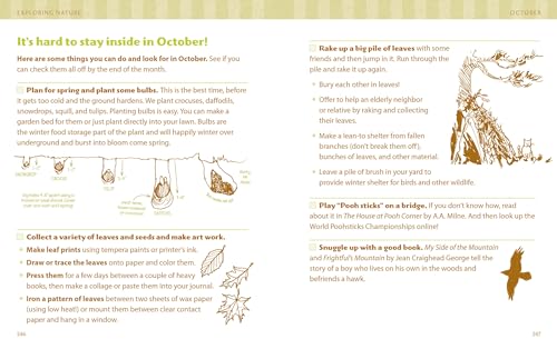 The Nature Connection: An Outdoor Workbook for Kids, Families, and Classrooms
