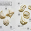 The World Is Your Dumpling: Little Parcels. Big Flavours. 80 Gorgeous Recipes.