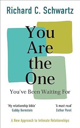 Richard Schwartz 3 Books Collection Set (No Bad Parts, Introduction to Internal Family Systems & You Are the One Youve Been Waiting For)