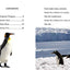 Polar Pals: Level 2 (I Can Read! / Made By God)