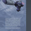 Transformers: IDW Collection Phase Two Volume 6