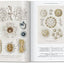 The Art and Science of Ernst Haeckel: 45th Ed. (45th Edition)
