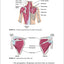 A Clinical Guide to Surface Palpation: The Art and Science of the Perfect Touch