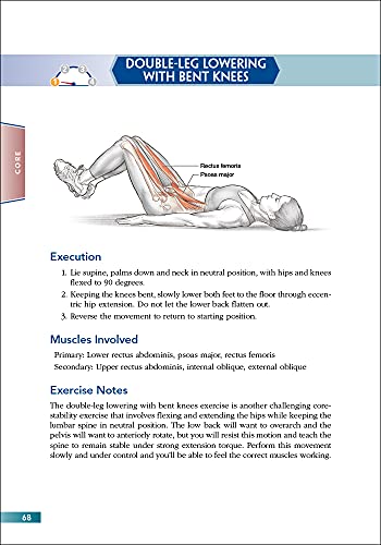 Bodyweight Strength Training Anatomy