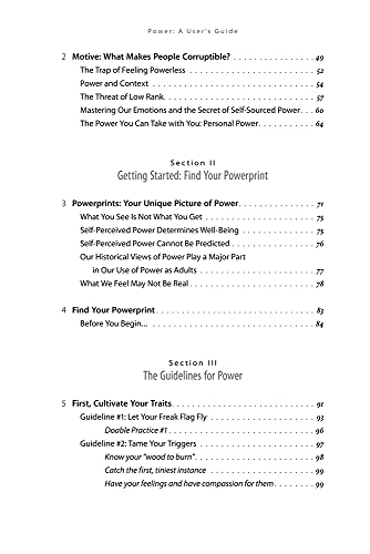 Power: A User's Guide by Julie Diamond