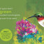 Birding for Babies: Migrating Birds: A Colors Book