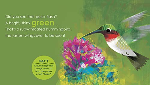 Birding for Babies: Migrating Birds: A Colors Book