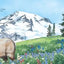 E is for Evergreen: A Washington State Alphabet (Discover America State by State)
