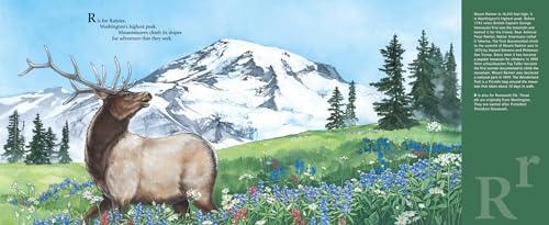 E is for Evergreen: A Washington State Alphabet (Discover America State by State)