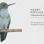 Tits, Boobies and Loons: ARE ORNITHOLOGISTS OK? 2022's funny new bird identification book, the humorous guide to spotting ornithology's most weird and wonderful birds