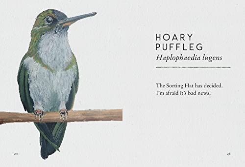Tits, Boobies and Loons: ARE ORNITHOLOGISTS OK? 2022's funny new bird identification book, the humorous guide to spotting ornithology's most weird and wonderful birds