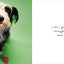 If Dogs Could Talk
