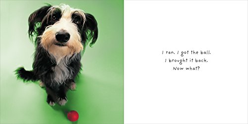 If Dogs Could Talk