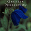 The Greater Perfection: The Story of the Gardens at Les Quatre Vents