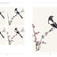 The Beginner's Guide to Chinese Painting: Birds and Insects
