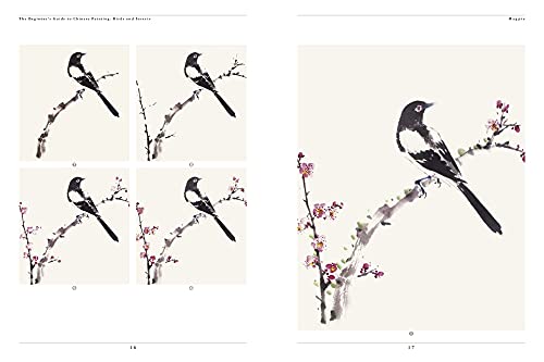 The Beginner's Guide to Chinese Painting: Birds and Insects