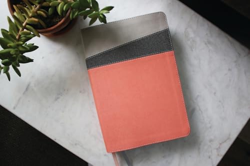 NIV Application Bible, Leathersoft, Coral/Gray, Red Letter, Comfort Print: Bringing the Ancient Message of the Bible into Your World (NIV Application Commentary Resources)