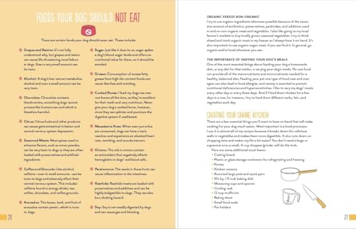 Home Cooking for Your Dog: 75 Holistic Recipes for a Healthier Dog