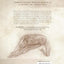 Yoga Mat Companion 2: Anatomy for Hip Openers and Forward Bends