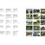 The Iconic American House: Architectural Masterworks Since 1900
