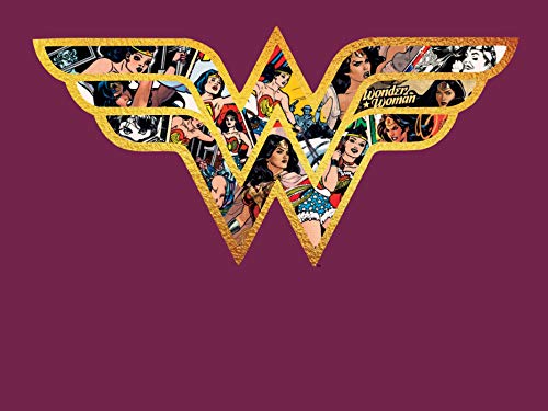 DC Comics: Wonder Woman Blank Boxed Note Cards