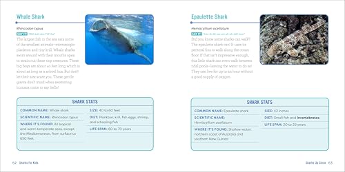 Sharks for Kids: A Junior Scientist's Guide to Great Whites, Hammerheads, and Other Sharks in the Sea
