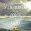 Why I Am Still Surprised by the Voice of God: How God Speaks Today through Prophecies, Dreams, and Visions