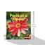 Parts of a Flower (First Step Nonfiction - Pollination)