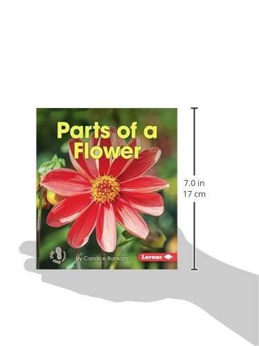 Parts of a Flower (First Step Nonfiction - Pollination)
