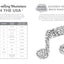 The Elton John Activity Book: Quizzes, puzzles and trivia on a musical legend life through to 2024