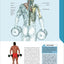 The Strength Training Anatomy Workout: Starting Strength