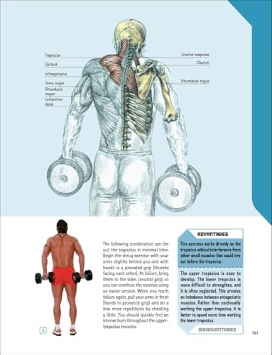 The Strength Training Anatomy Workout: Starting Strength