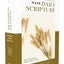 NASB, Daily Scripture, Super Giant Print, Paperback, White/Gold, 1995 Text, Comfort Print: 365 Days to Read Through the Whole Bible in a Year