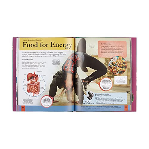 Children's Human Body Encyclopedia (Arcturus Children's Reference Library, 5)